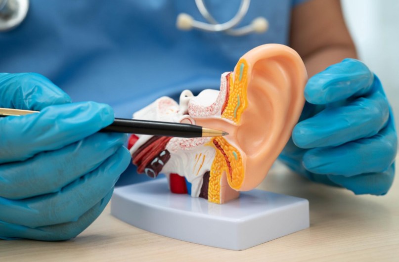 ENT (Otorhinolaryngology)